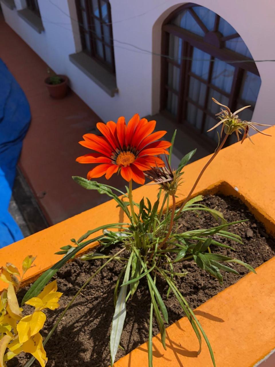 Hotel Santa Teresa Potosí Zewnętrze zdjęcie